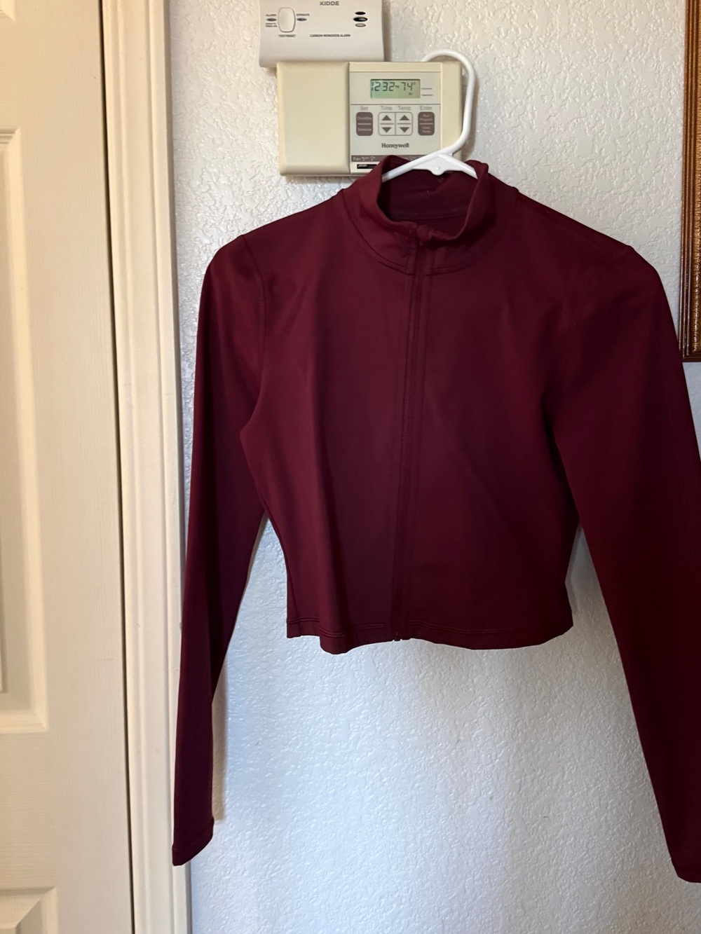 Aritzia golden Long Sleeve Cropped Zip Jacket - Burgundy